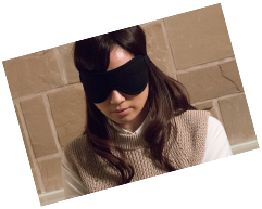 見どころイメージ